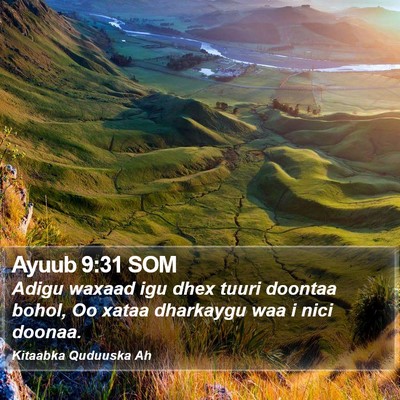 Ayuub 9:31 SOM Bible Verse Image