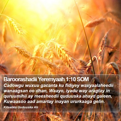Baroorashadii Yeremyaah 1:10 SOM Bible Verse Image