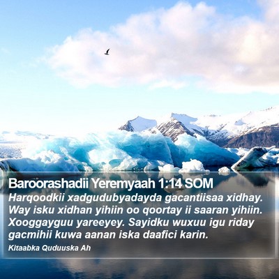 Baroorashadii Yeremyaah 1:14 SOM Bible Verse Image