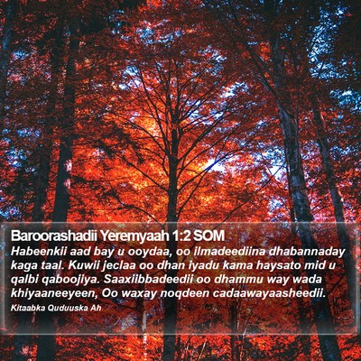 Baroorashadii Yeremyaah 1:2 SOM Bible Verse Image