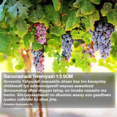 Baroorashadii Yeremyaah 1:3 SOM Bible Verse Image
