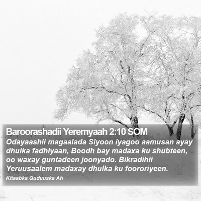 Baroorashadii Yeremyaah 2:10 SOM Bible Verse Image