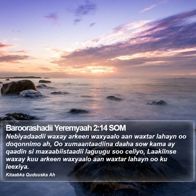 Baroorashadii Yeremyaah 2:14 SOM Bible Verse Image