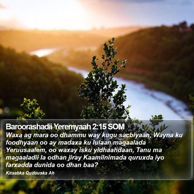 Baroorashadii Yeremyaah 2:15 SOM Bible Verse Image