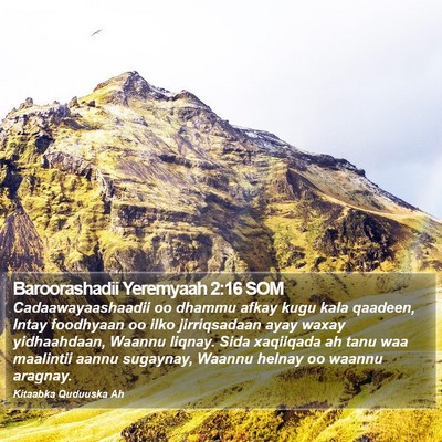 Baroorashadii Yeremyaah 2:16 SOM Bible Verse Image