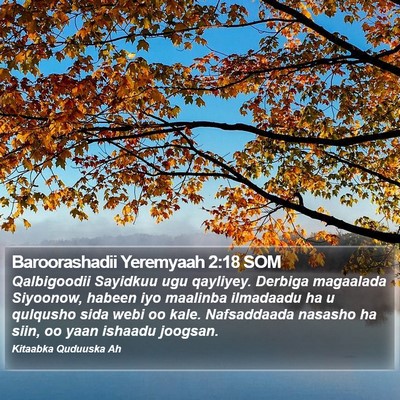 Baroorashadii Yeremyaah 2:18 SOM Bible Verse Image