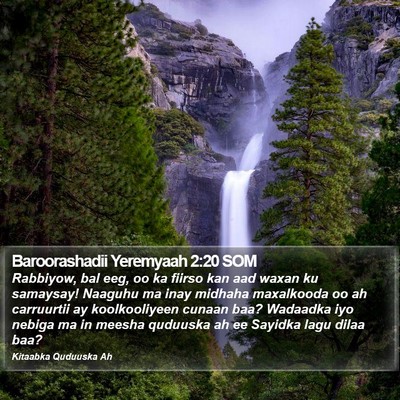 Baroorashadii Yeremyaah 2:20 SOM Bible Verse Image