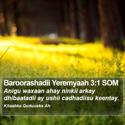 Baroorashadii Yeremyaah 3:1 SOM Bible Verse Image