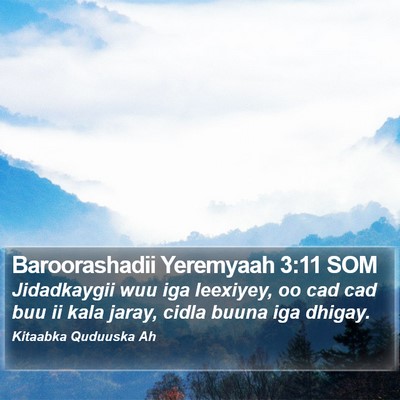 Baroorashadii Yeremyaah 3:11 SOM Bible Verse Image