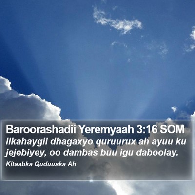 Baroorashadii Yeremyaah 3:16 SOM Bible Verse Image