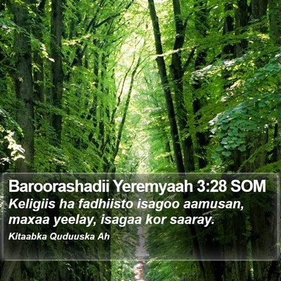 Baroorashadii Yeremyaah 3:28 SOM Bible Verse Image