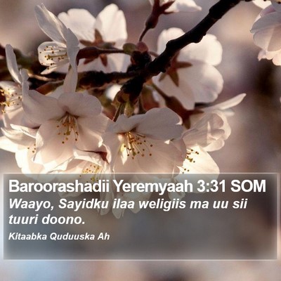 Baroorashadii Yeremyaah 3:31 SOM Bible Verse Image
