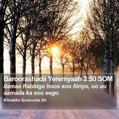 Baroorashadii Yeremyaah 3:50 SOM Bible Verse Image