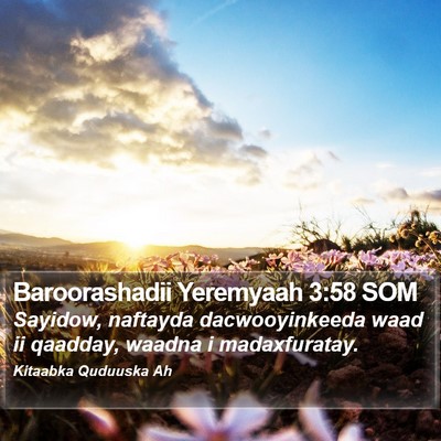 Baroorashadii Yeremyaah 3:58 SOM Bible Verse Image