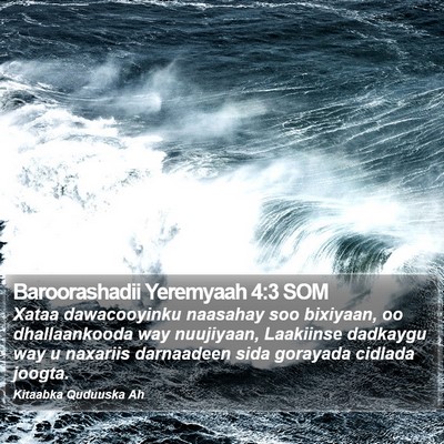 Baroorashadii Yeremyaah 4:3 SOM Bible Verse Image