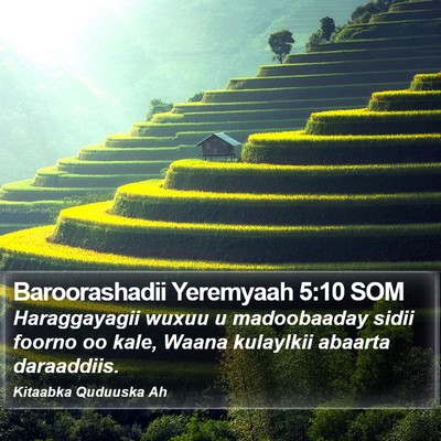 Baroorashadii Yeremyaah 5:10 SOM Bible Verse Image
