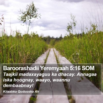 Baroorashadii Yeremyaah 5:16 SOM Bible Verse Image