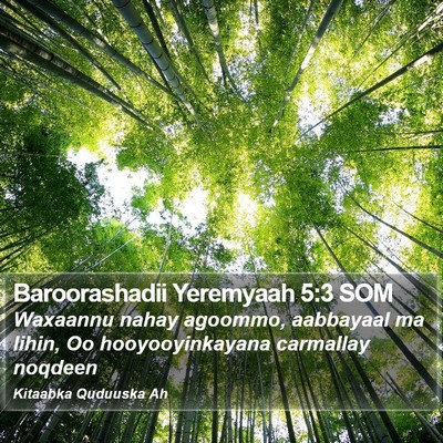 Baroorashadii Yeremyaah 5:3 SOM Bible Verse Image
