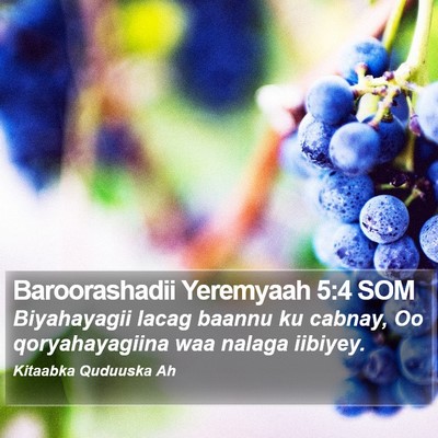 Baroorashadii Yeremyaah 5:4 SOM Bible Verse Image