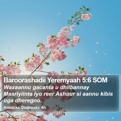 Baroorashadii Yeremyaah 5:6 SOM Bible Verse Image