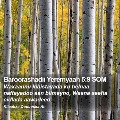 Baroorashadii Yeremyaah 5:9 SOM Bible Verse Image