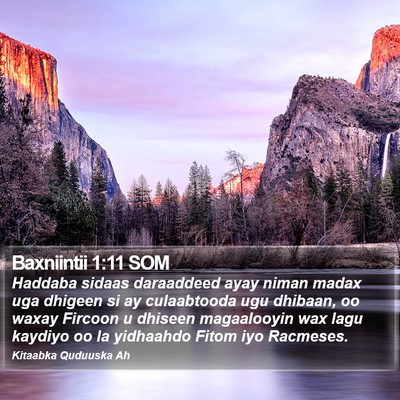 Baxniintii 1:11 SOM Bible Verse Image
