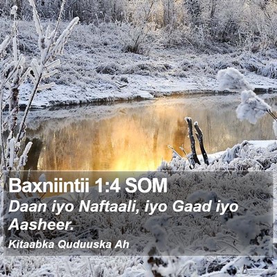 Baxniintii 1:4 SOM Bible Verse Image