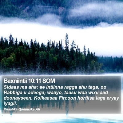 Baxniintii 10:11 SOM Bible Verse Image