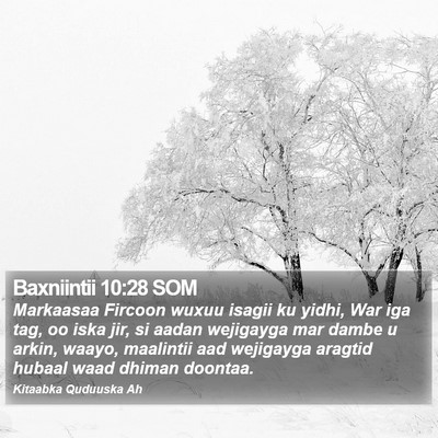 Baxniintii 10:28 SOM Bible Verse Image
