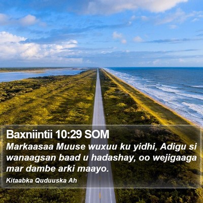 Baxniintii 10:29 SOM Bible Verse Image
