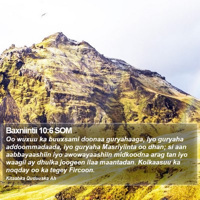 Baxniintii 10:6 SOM Bible Verse Image