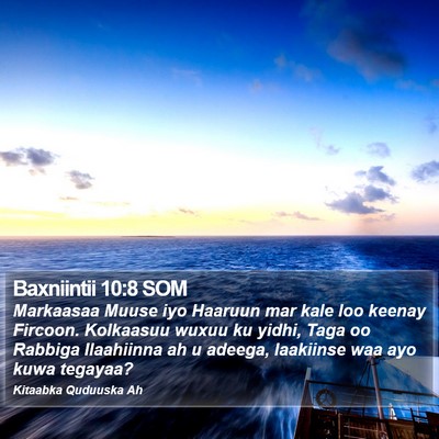Baxniintii 10:8 SOM Bible Verse Image