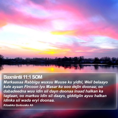 Baxniintii 11:1 SOM Bible Verse Image