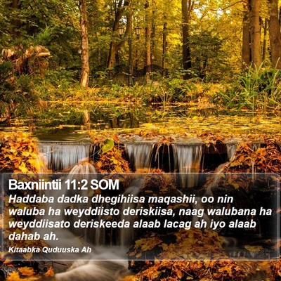 Baxniintii 11:2 SOM Bible Verse Image
