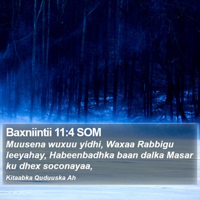 Baxniintii 11:4 SOM Bible Verse Image