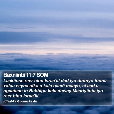Baxniintii 11:7 SOM Bible Verse Image