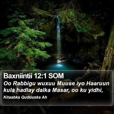 Baxniintii 12:1 SOM Bible Verse Image