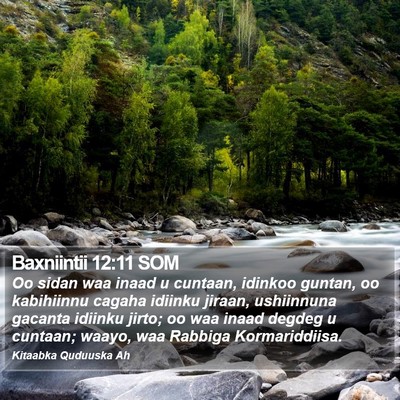 Baxniintii 12:11 SOM Bible Verse Image