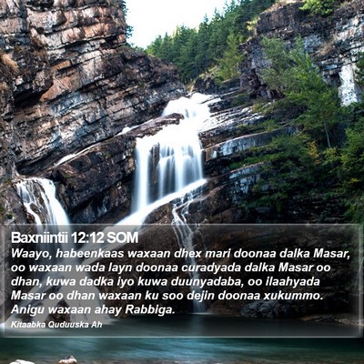 Baxniintii 12:12 SOM Bible Verse Image