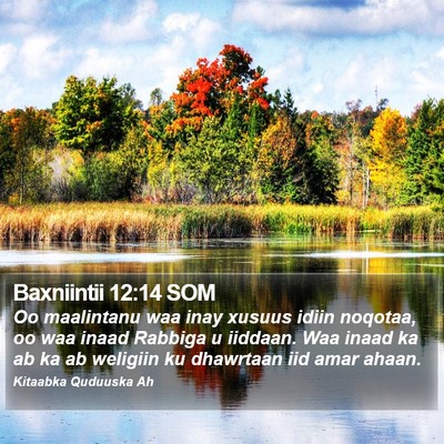 Baxniintii 12:14 SOM Bible Verse Image