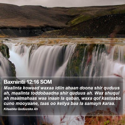 Baxniintii 12:16 SOM Bible Verse Image