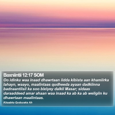 Baxniintii 12:17 SOM Bible Verse Image