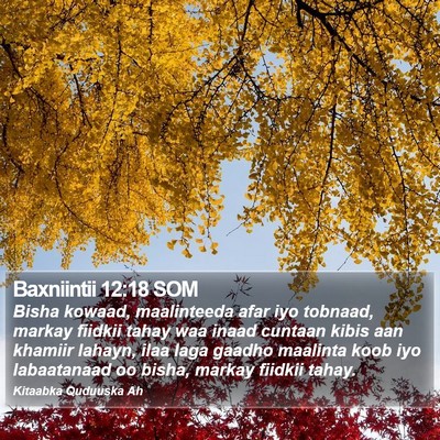 Baxniintii 12:18 SOM Bible Verse Image