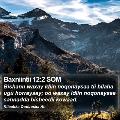 Baxniintii 12:2 SOM Bible Verse Image