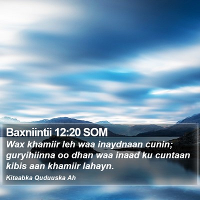 Baxniintii 12:20 SOM Bible Verse Image