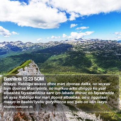 Baxniintii 12:23 SOM Bible Verse Image