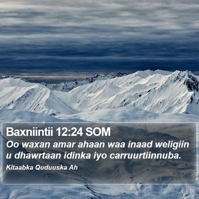 Baxniintii 12:24 SOM Bible Verse Image