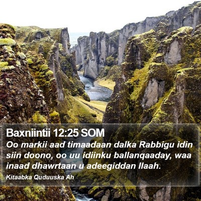 Baxniintii 12:25 SOM Bible Verse Image
