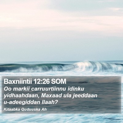 Baxniintii 12:26 SOM Bible Verse Image
