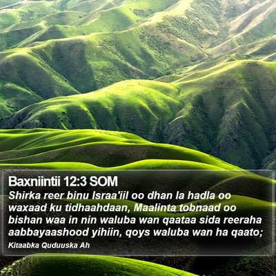 Baxniintii 12:3 SOM Bible Verse Image
